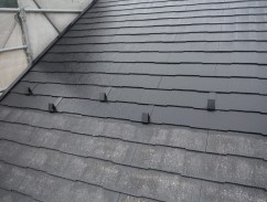 DSCF1430