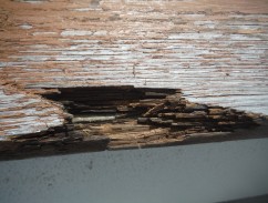 DSCF9481