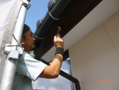 P1010445