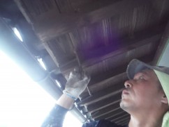 DSCF2355