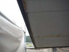 DSCF2229