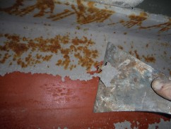 DSCF3167