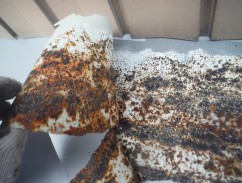 DSCF3400